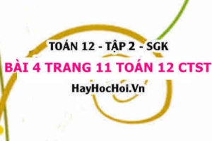 Bài 4 trang 11 Toán 12 tập 2 Chân trời sáng tạo
